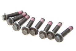 DUAL MASS FLYWHEEL BOLTS x8 FOR DISCOVERY 2 TD5