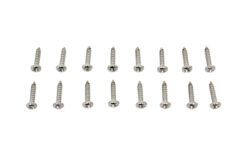 STAINLESS STEEL SIDE LIGHT, INDICATORS AND BRAKE LIGHT SCREWS FOR ROVER DEFENDER 